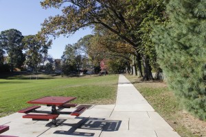 the back field of Merion Elementary.